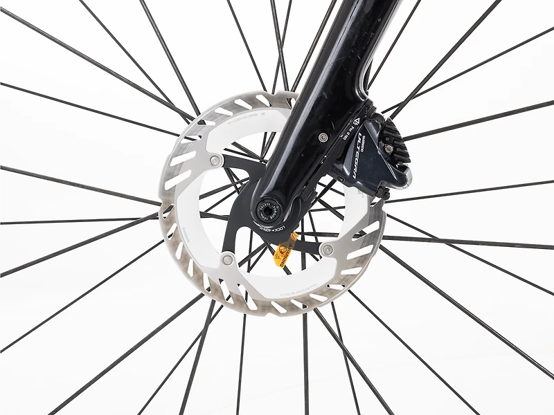 Domane+ LT Gen 1 - 2021