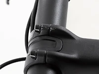 Domane+ LT Gen 1 - 2021