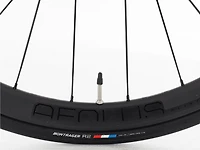 Émonda ALR 6 - 2025, 56cm