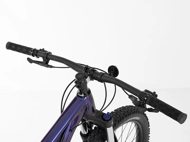 Roscoe 6 - 2023, Small