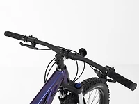 Roscoe 6 - 2023, Small