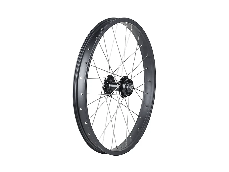 Trek Roscoe Boost 20˝ MTB Wheel