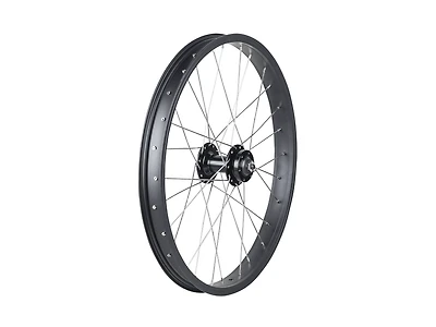 Trek Roscoe Boost 20˝ MTB Wheel