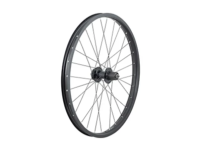 Trek 24˝ Disc MTB Wheel