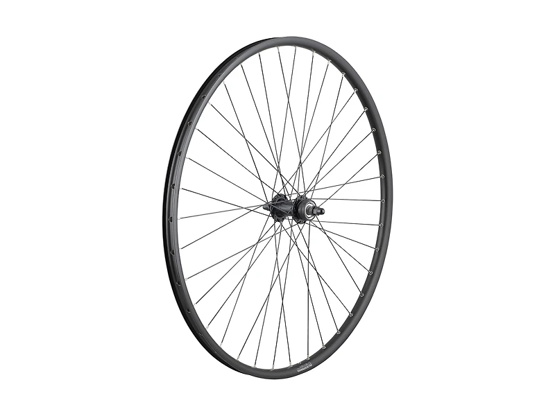 Trek Alex DP23/Centerlock 36H Bolt-on 700c Wheel