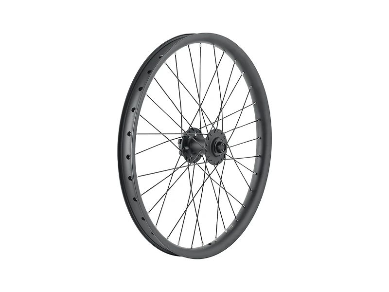 Trek Cargo Bike 6-Bolt Disc 20˝ Wheel