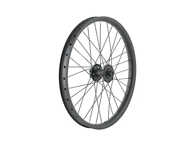 Trek Cargo Bike 6-Bolt Disc 20˝ Wheel
