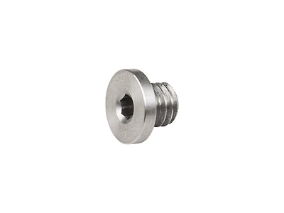 Trek Derailleur Hanger Button Head Bolt