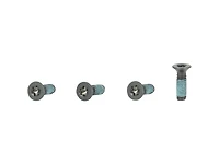 Trek Domane + ALR Motor Cover Hardware - Pack of 4