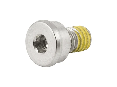 Trek Domane+ SLR Motor Cover Bolt
