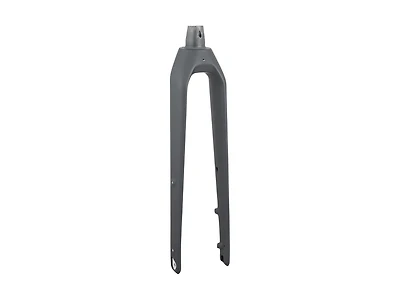 Trek Dual Sport 3 Thru-Axle 29˝ Rigid Fork