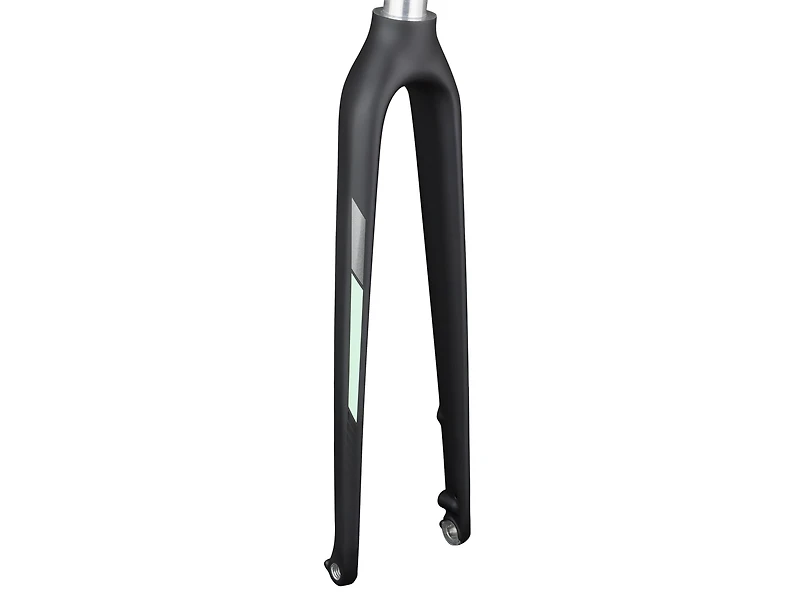 Trek FX Sport 5 Women's Disc 700c Rigid Forks