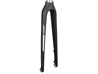 Trek FX Sport 5 Women's Disc 700c Rigid Forks