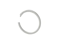 Trek 2022 Session 29 ABP Retaining Ring