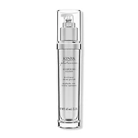 Kenra Professional Platinum Silkening Gloss