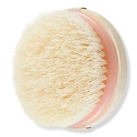 EcoTools Exfoliating Dry Body Brush