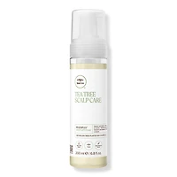 Paul Mitchell Tea Tree Scalp Care Regeniplex Root Lift Foam