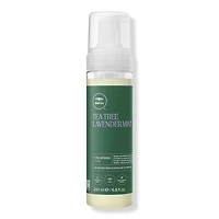 Paul Mitchell Tea Tree Lavender Mint Curl Refresh Foam