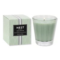 NEST New York Wild Mint & Eucalyptus Classic Candle