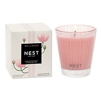 NEST New York Himalayan Salt & Rosewater Classic Candle