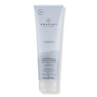 Paul Mitchell Awapuhi Wild Ginger HydraSoft Conditioner - oz