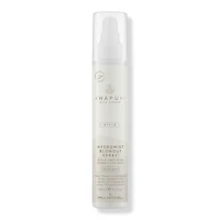 Paul Mitchell Awapuhi Wild Ginger HydroMist Blowout Spray