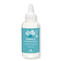 DERMA E Scalp Relief Rinse