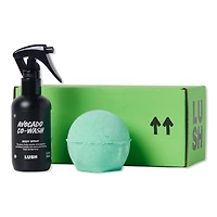 LUSH Avo Good Time Bath And Body Duo