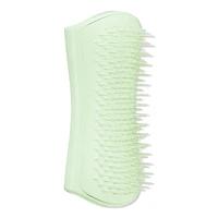 Tangle Teezer Puppy Grooming Brush - Green