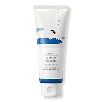 ROUND LAB Birch Juice Moisturizing Cleanser