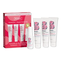 Briogeo Don't Despair, Repair! Moisturize + Repair Starter Set