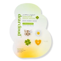 dearcloud Picture Perfect Hydrocolloid Blemish Patches