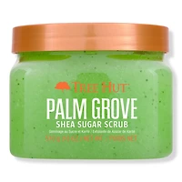 Tree Hut Palm Grove Shea Sugar Scrub