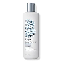 Briogeo Scalp Revival Dandruff Relief Conditioner