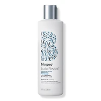 Briogeo Scalp Revival Dandruff Relief Shampoo
