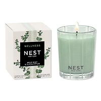 NEST New York Wild Mint & Eucalyptus Votive Candle