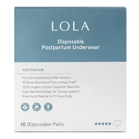 LOLA Organic Cotton Postpartum Underwear