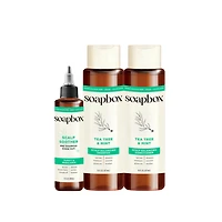 Soapbox Tea Tree & Mint Scalp Balancing Haircare Essentials - 16 oz