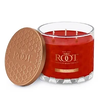 Root Candles Legacy Collection Luxury Scented Candle - Hollyberry