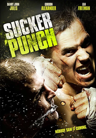 Sucker Punch - USED