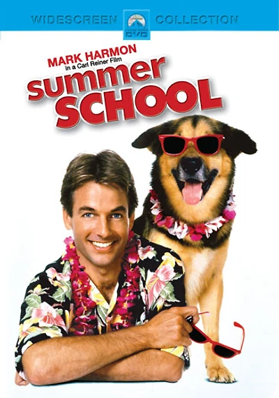 Summer School - USED