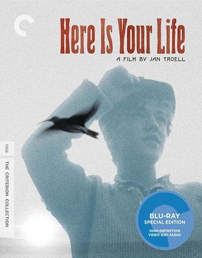 Here Is Your Life - NEW