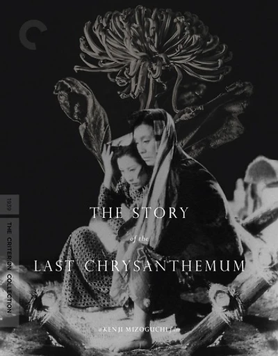 The Story of the Last Chrysanthemum - NEW