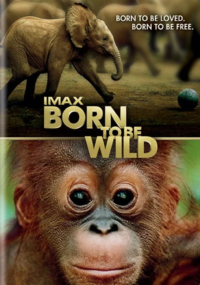 Born to Be Wild (IMAX) - USED