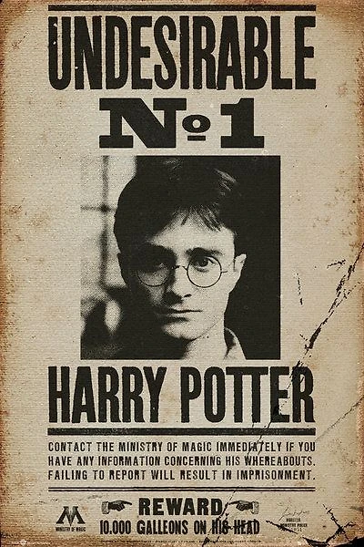 Harry Potter - Undesirable No 1 Wanted Poster - NEW
