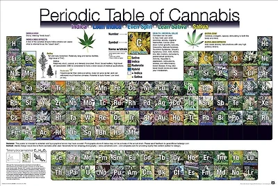 Periodic Table of Cannabis - NEW