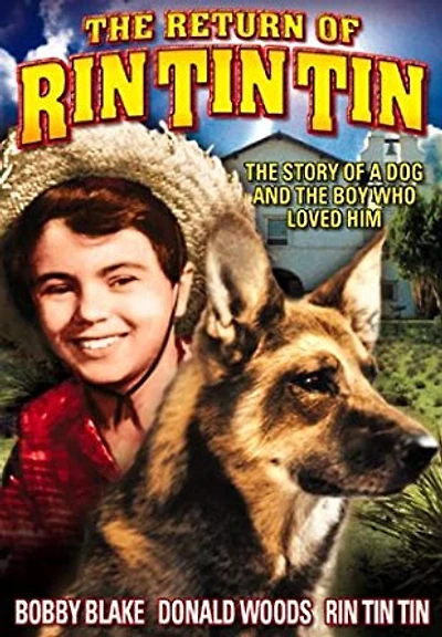 RETURN OF RIN TIN TIN - USED