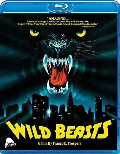 Wild Beasts - USED