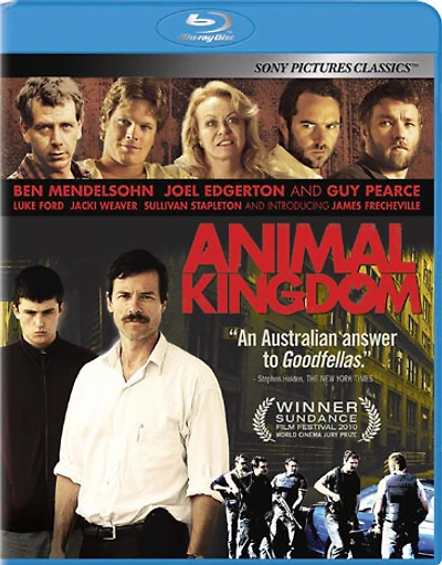 Animal Kingdom - USED