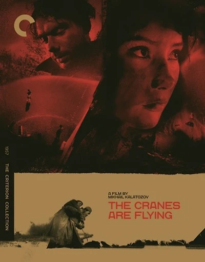 The Cranes Are Flying - NEW